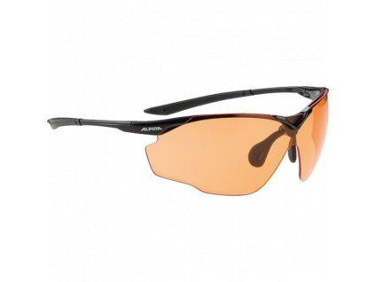 309674 alpina splinter shield vl black