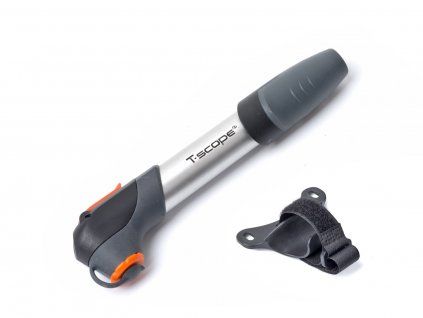 316913 author aap t scope