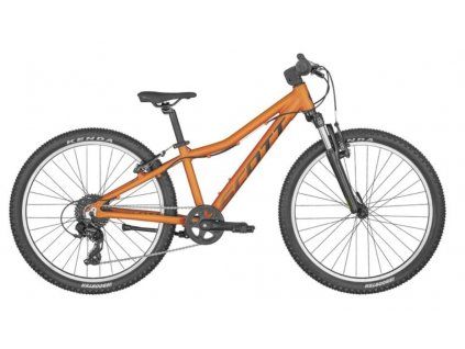 376341 scott scale 24 2023