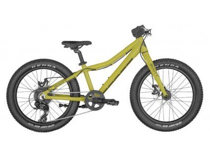 376365 scott roxter 20 2023 green