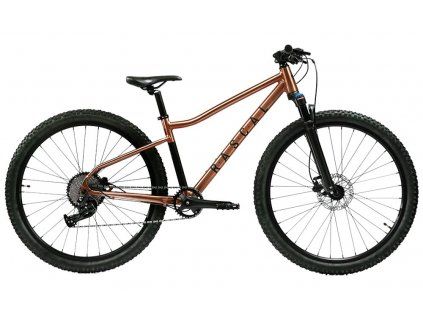 380089 rascal wild 29 hneda