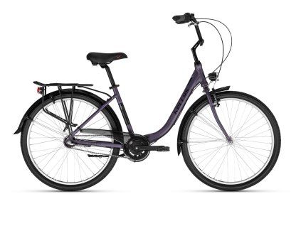 10840 81301 kellystore 25 avery 10 thunderstorm purple