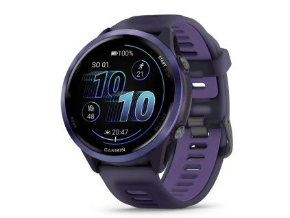 garmin 3 3