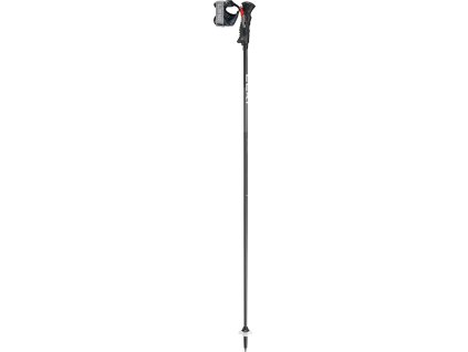 Leki Carbon 14 TR, naturalcarbon-black-white (Velikost 135 cm)