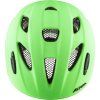 ALPINA XIMO L.E. 2022 - green matt (Velikost 49-54)