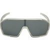 369623 alpina bonfire q cool grey matt