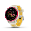 garmin3