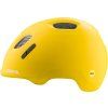 ProductColorBox (2)